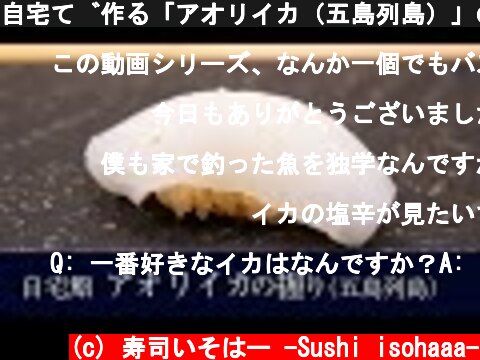 自宅で作る「アオリイカ（五島列島）」の握りの作り方【30貫目】寿司テロ。  (c) 寿司いそはー -Sushi isohaaa-